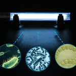 Lampe UV Ultraviolet 110V 9W pour désinfection des algues dans aquarium, prise US, 9W prise US