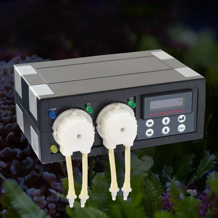 Pompe doseuse automatique Jebao DP-2 4W pompe péristaltique pompe doseuse 2 canaux distributeur automatique récif corallien aquarium, prise US, DP-2 4W