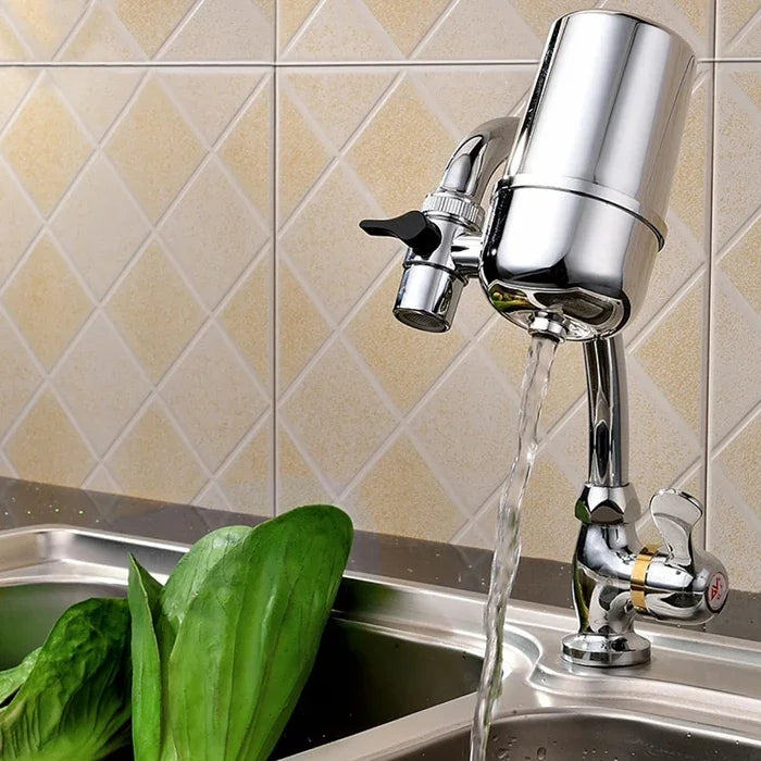 Wheelton Kitchen Healthy Faucet Water Filter System Water Purifier, Capacity: 2.5L, H-102