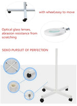 Loupe de table avec bras pivotant pliable 5X et lampe lumineuse pour le visage, le tatouage, les sourcils, les ongles et les soins de beauté, lumière blanche froide