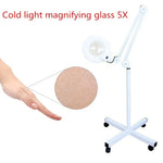 Loupe de table avec bras pivotant pliable 5X et lampe lumineuse pour le visage, le tatouage, les sourcils, les ongles et les soins de beauté, lumière blanche froide