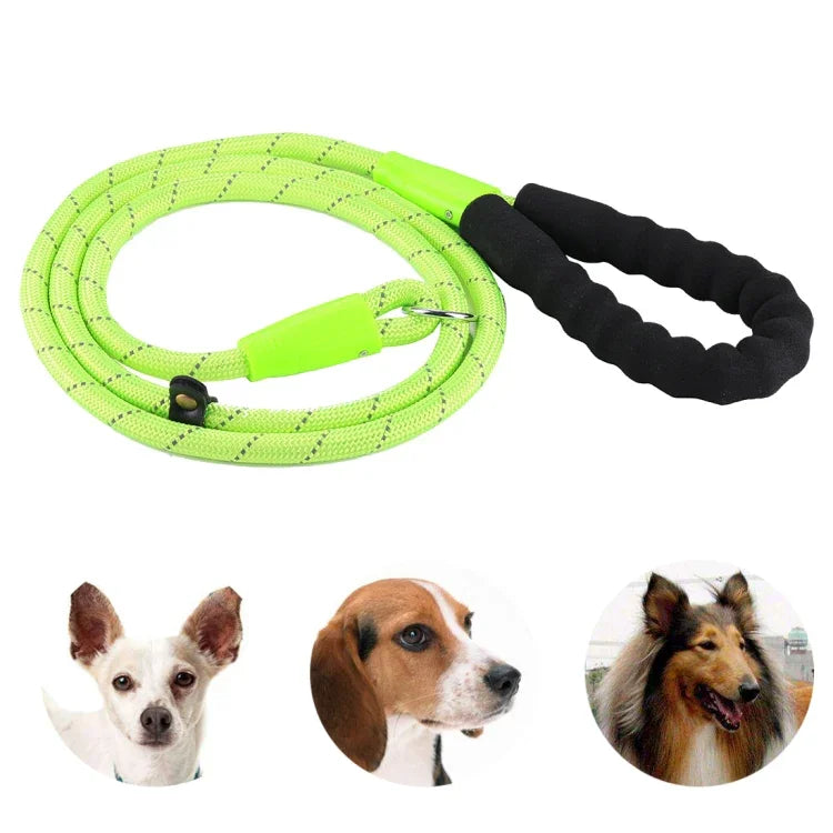 Corde de dressage pour chien avec poignée audacieuse et lumière réfléchissante, corde de dressage