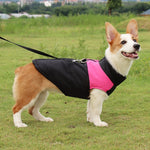 Combinaison de ski pour chien en coton, Taille : 5XL, Tour de poitrine : 68cm, Longueur du dos : 60cm, Taille : 5XL