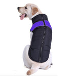 Combinaison de ski pour chien en coton, Taille : 5XL, Tour de poitrine : 68cm, Longueur du dos : 60cm, Taille : 5XL