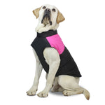 Combinaison de ski gilet en coton pour chien, Taille : M, Tour de poitrine : 42cm, Longueur du dos : 31cm, Taille : M
