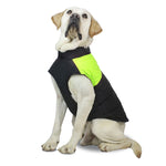 Combinaison de ski gilet en coton pour chien, Taille : M, Tour de poitrine : 42cm, Longueur du dos : 31cm, Taille : M