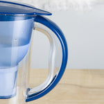 Bouteille d'eau froide portable de 1,3 L avec filtre à charbon actif pour cuisine domestique, 1,3 L (Bleu)