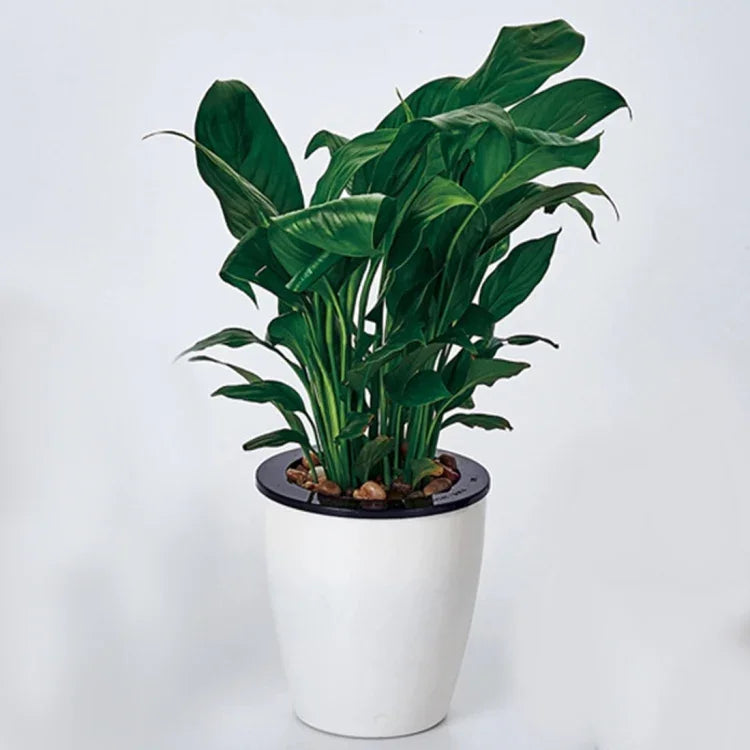 Pots à fleurs automatiques paresseux hydroponiques absorbant l'eau, pots à fleurs en résine plastique circulaire à double couche, auto-arrosage, diamètre : 13cm, hauteur : 13.7cm, diamètre : 13cm, hauteur : 13.7cm