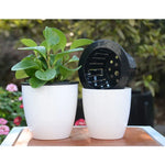 Pots à fleurs automatiques paresseux hydroponiques absorbant l'eau, pots à fleurs en résine plastique circulaire à double couche, auto-arrosage, diamètre : 13cm, hauteur : 13.7cm, diamètre : 13cm, hauteur : 13.7cm