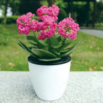 Pots à fleurs automatiques paresseux hydroponiques absorbant l'eau, pots à fleurs en résine plastique circulaire à double couche, auto-arrosage, diamètre : 13cm, hauteur : 13.7cm, diamètre : 13cm, hauteur : 13.7cm