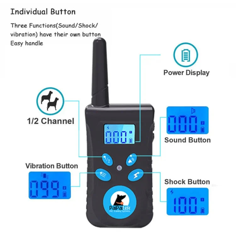 Texte alternatif de l'image