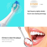 Brosse à dents électrique sonique étanche IPX7 à piles QYG Q2