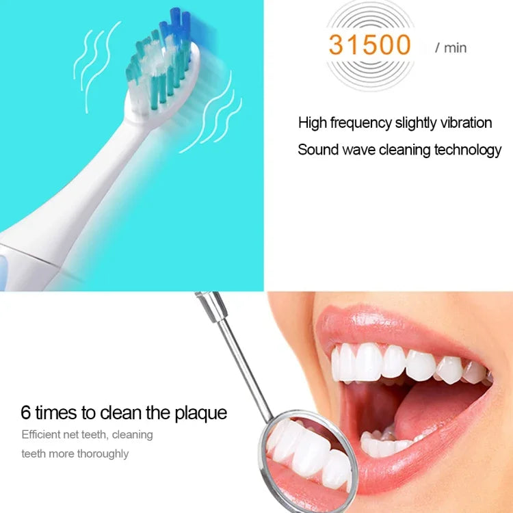 Brosse à dents électrique sonique étanche IPX7 à piles QYG Q2