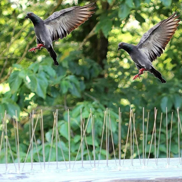 5 PCS / Set Répulsif à oiseaux 50cm Pointes en acier inoxydable anti-oiseaux SK411, 5 PCS