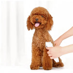 Tondeuse électrique professionnelle pour animaux de compagnie Pawbby Dog, de Xiaomi Youpin, rechargeable, sûre, Pawbby Dog Professional Razor