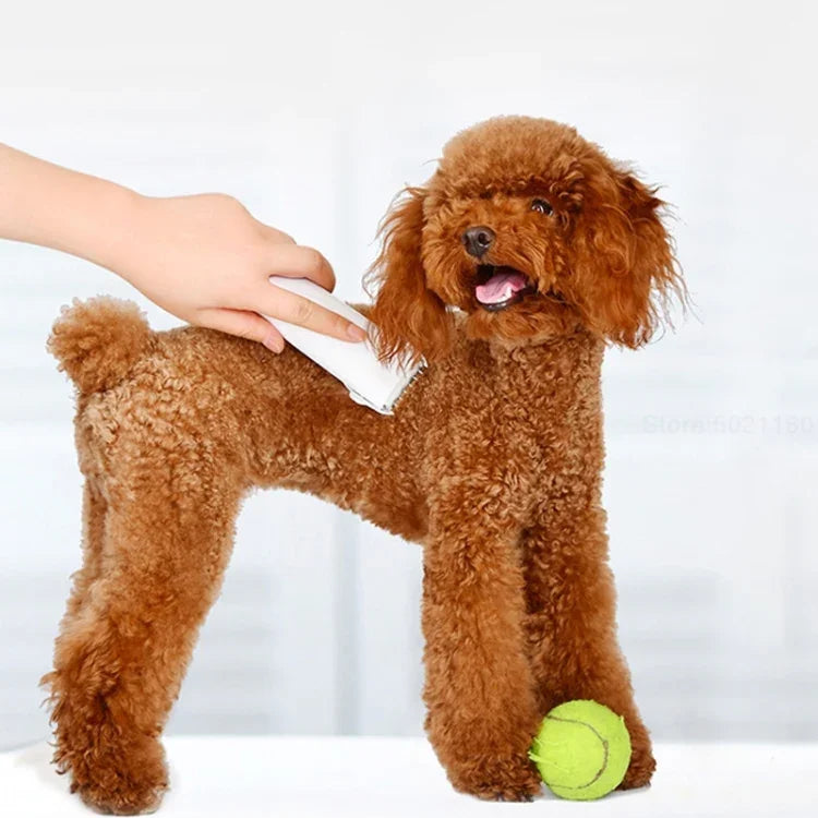 Tondeuse électrique professionnelle pour animaux de compagnie Pawbby Dog, de Xiaomi Youpin, rechargeable, sûre, Pawbby Dog Professional Razor