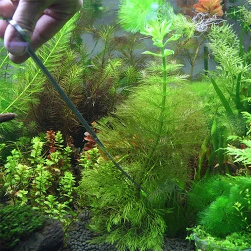 Ciseaux, pinces et pince en acier inoxydable 3 en 1, Miniatures plantes aquarium outils de taille pour paysage aquarium, 3 PCS