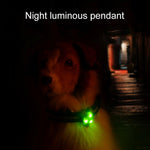 Collier de sécurité pour animaux avec veilleuse LED et pendentif en silicone