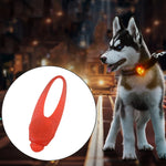 Collier de sécurité pour animaux avec veilleuse LED et pendentif en silicone