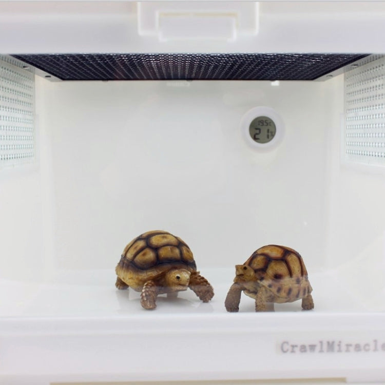 Thermomètre et hygromètre numérique rond pour terrarium avec affichage écran