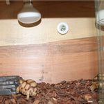 Thermomètre et hygromètre numérique rond pour terrarium avec affichage écran