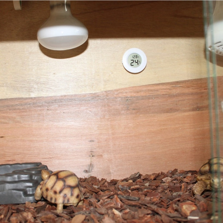 Thermomètre et hygromètre numérique rond pour terrarium avec affichage écran