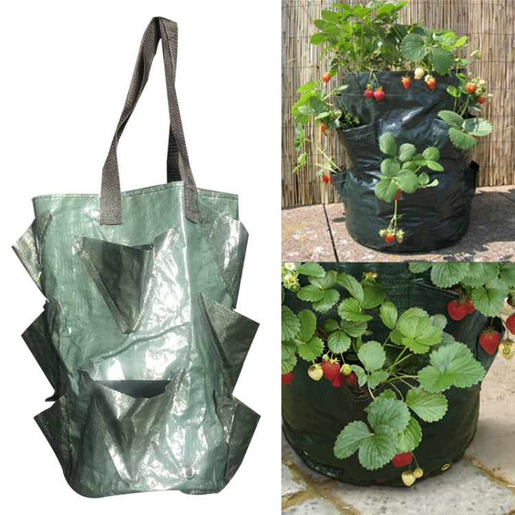 Sac de plantation suspendu CMD-3 de 3 gallons pour fraises en PE, sac horticole pour plantation de fleurs