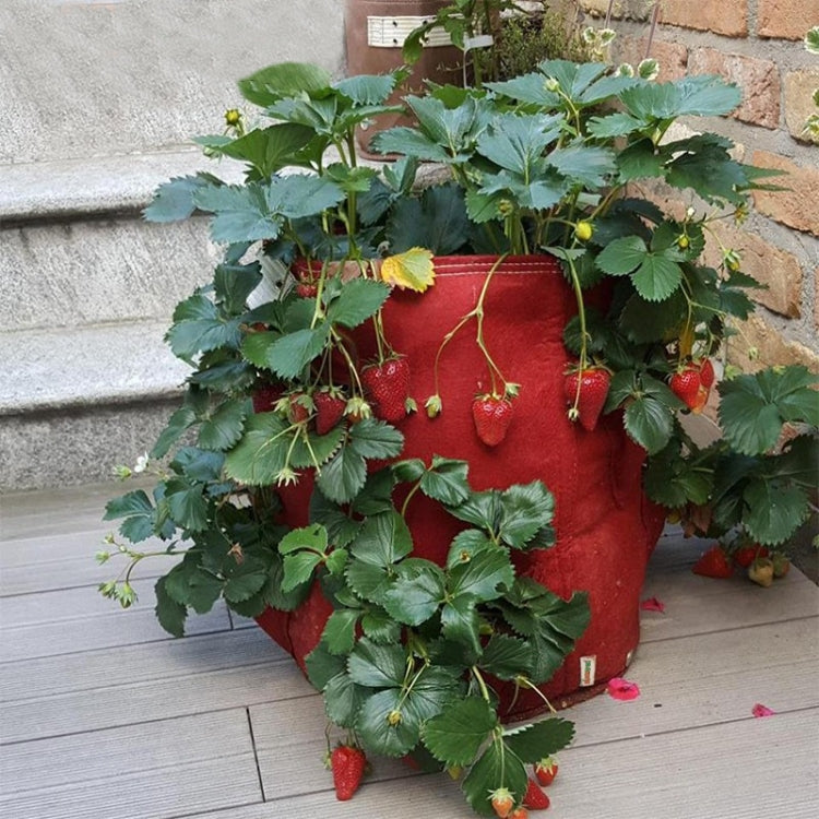 Sac de plantation de fraises en feutre non tissé à 3 poches 18L / 5 gallons, taille : 23X28cm, taille : 23X28cm