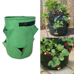 Sac de plantation de fraises en feutre non tissé à 3 poches 18L / 5 gallons, taille : 23X28cm, taille : 23X28cm