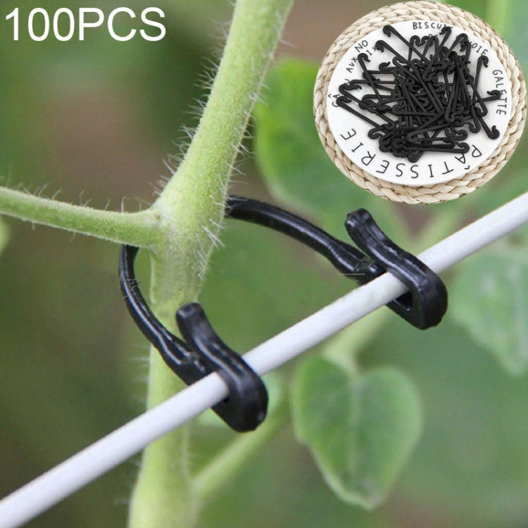 100 pièces / 2 paquets de sangles de fixation pour vigne de jardinage, 100 pièces / 2 paquets