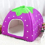 Nid pour animaux de compagnie pliable en forme de fraise, en peluche courte, taille M, rouge, rose, bleu, violet