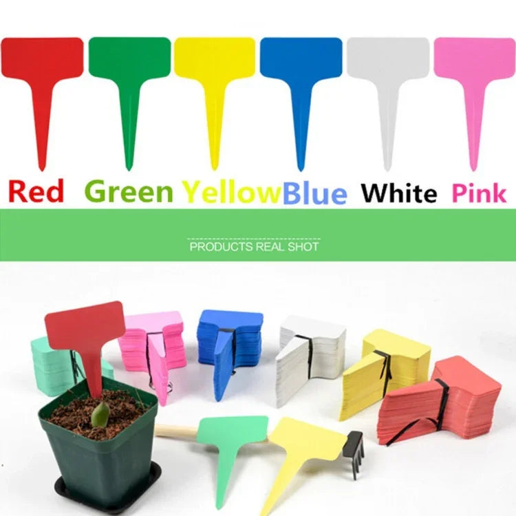 100PCS Étiquettes florales Étiquettes de jardinage Étiquette en T - type Étiquette insérée Étiquette pour pots, livraison couleur aléatoire, étiquette plante 4