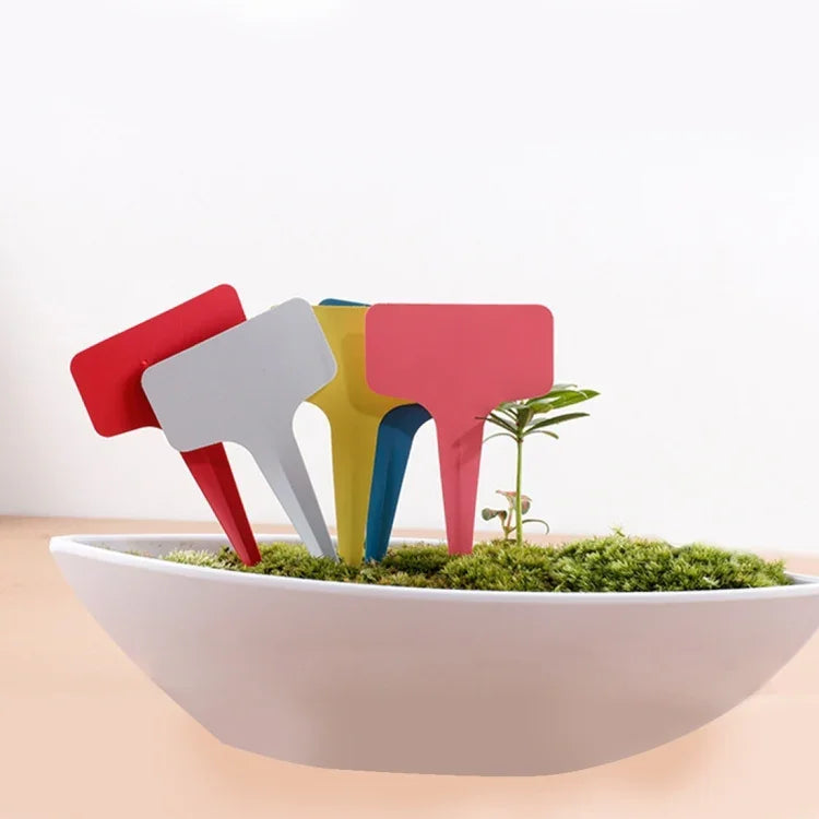 100PCS Étiquettes florales Étiquettes de jardinage Étiquette en T - type Étiquette insérée Étiquette pour pots, livraison couleur aléatoire, étiquette plante 4