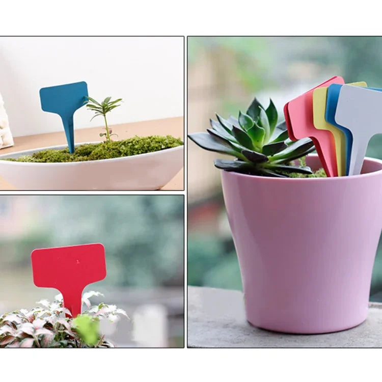 100PCS Étiquettes florales Étiquettes de jardinage Étiquette en T - type Étiquette insérée Étiquette pour pots, livraison couleur aléatoire, étiquette plante 4