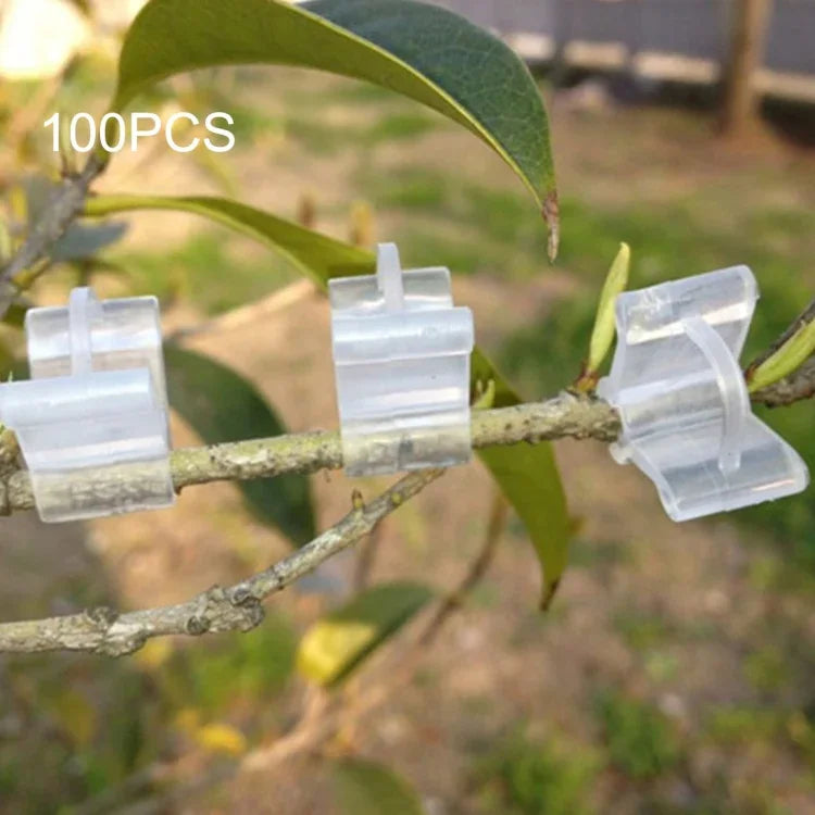 100 PCS Clips de greffage en plastique transparent pour jardinage, clips de greffage pour plantes, clips de greffage pour tomates