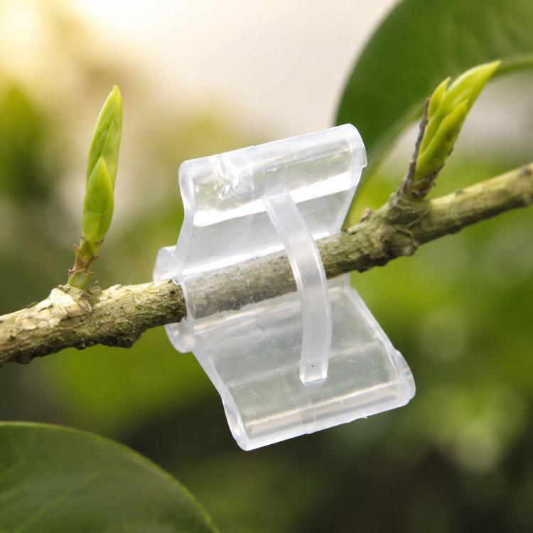 100 PCS Clips de greffage en plastique transparent pour jardinage, clips de greffage pour plantes, clips de greffage pour tomates