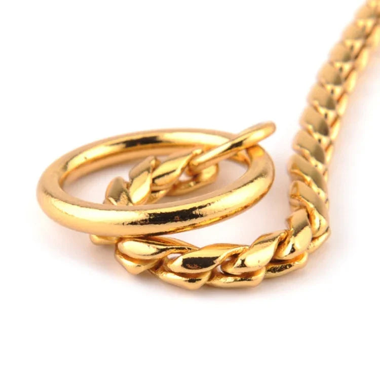 Close-up of a shiny gold metal dog collar highlighting the chain and clasp design. Perfect for pets.