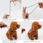 Collier étrangleur pour animaux de compagnie de 65 cm, collier pour animaux de compagnie, sangle de cou pour chien, collier de chien, chaîne serpent, collier de chien, 65 cm