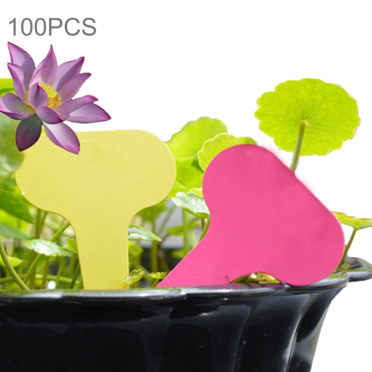 100 étiquettes florales pour jardinage, étiquettes imperméables petites cartes insérées, étiquettes pour pots, livraison couleur aléatoire, étiquette plante 3