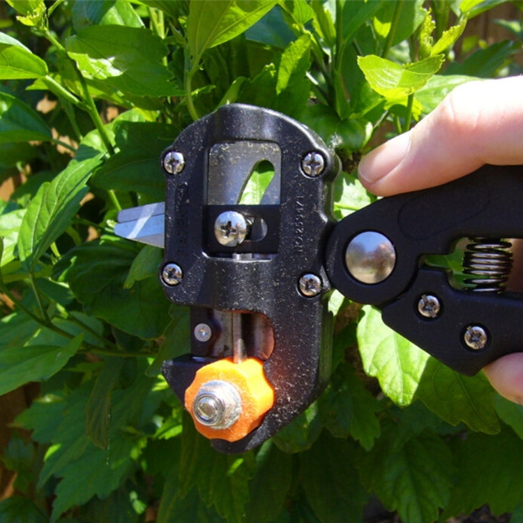 Ensemble d'Outils Professionnels de Greffage Ciseaux de Taille Machine à Greffer Plantule Dispositif de Greffage avec Trois Lames, un Couteau Croisé, une Clé, Noir