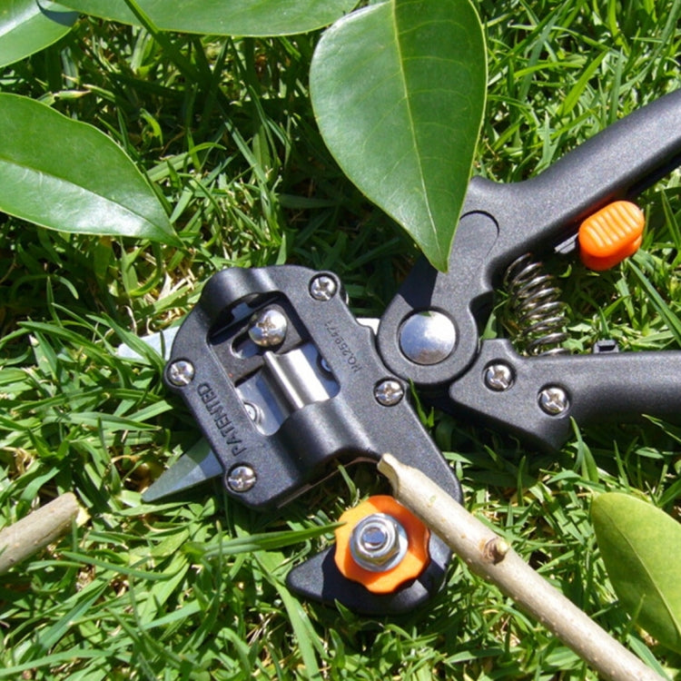 Ensemble d'Outils Professionnels de Greffage Ciseaux de Taille Machine à Greffer Plantule Dispositif de Greffage avec Trois Lames, un Couteau Croisé, une Clé, Noir