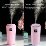 Petit humidificateur 3 2W avec humidimètre, instrument d'hydratation avec veilleuse LED, Capacité du réservoir d'eau : 260ml