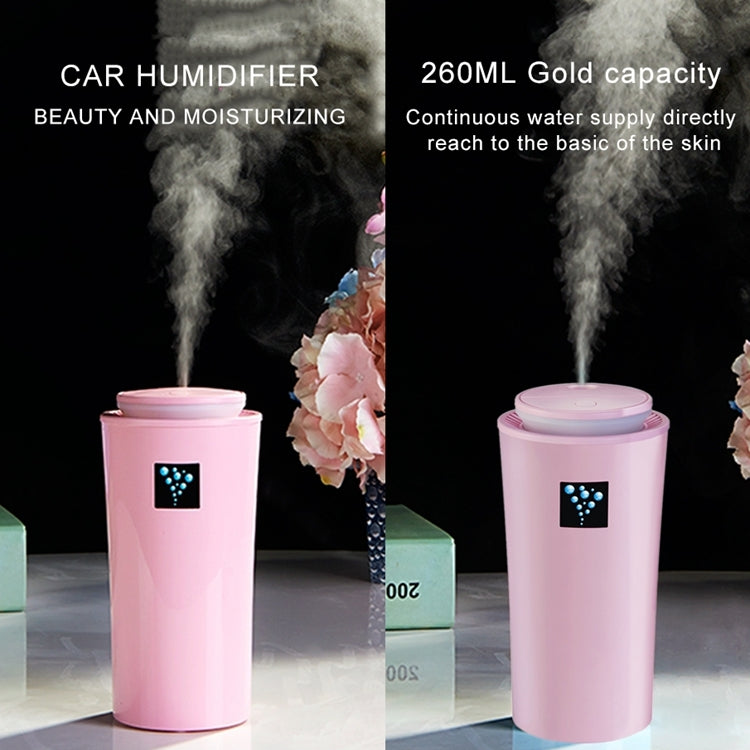 Petit humidificateur 3 2W avec humidimètre, instrument d'hydratation avec veilleuse LED, Capacité du réservoir d'eau : 260ml