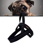 Harnais de poitrine réfléchissant en polyester A7 pour chiens de compagnie, laisse de traction pour grands chiens, collier de corde de sécurité, taille : XS, 2.0*42*50cm, taille : XS, 2.0*42*50cm