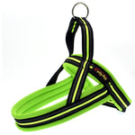Harnais de poitrine réfléchissant en polyester A7 pour chiens de compagnie, laisse de traction pour grands chiens, collier de corde de sécurité, taille : XS, 2.0*42*50cm, taille : XS, 2.0*42*50cm