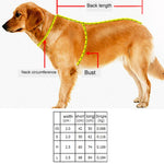 Harnais de poitrine réfléchissant en polyester A7 pour chiens de compagnie, laisse de traction pour grands chiens, collier de corde de sécurité, taille : XS, 2.0*42*50cm, taille : XS, 2.0*42*50cm