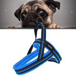 Harnais de poitrine réfléchissant en polyester A7 pour chiens de compagnie, laisse de traction pour grands chiens, collier de corde de sécurité, taille : XS, 2.0*42*50cm, taille : XS, 2.0*42*50cm
