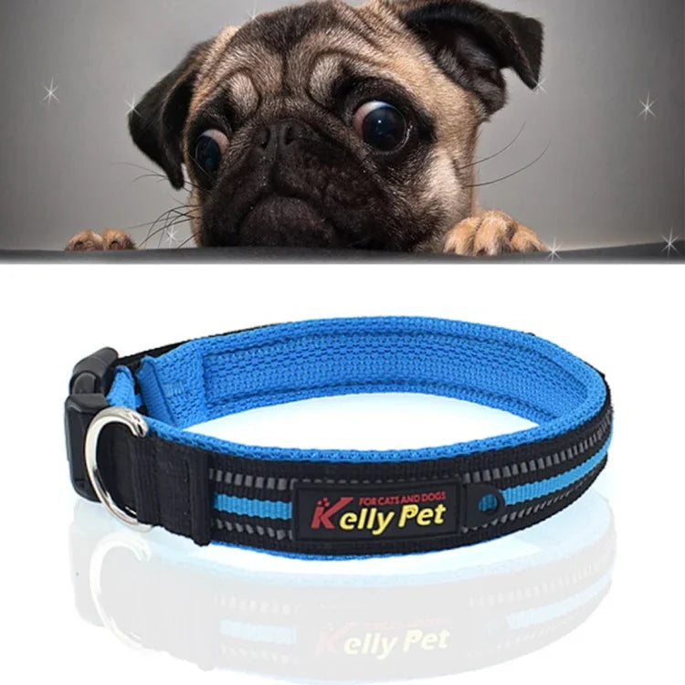 Laisse de traction pour collier en polyester réfléchissant et respirant pour chiens de compagnie, taille: M, 2.5*42*47cm