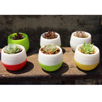 Pots de Fleurs Mini Ronds en Plastique Colorés Décoration Jardin Maison Bureau Pépinière Pot de Fleur avec Réservoir d'Eau, Livraison Couleur Aléatoire, Pot de Fleur 3