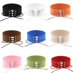 2 PCS Collier simple personnalité punk sexy à col attaché en velours, livraison couleur aléatoire, SFXQ